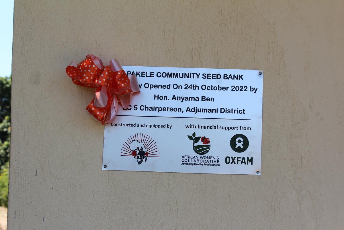 ESAFFUG's tweet photo. As part of this year’s Seed Celebration Week, we have launched another Community Seed Bank (CSB). Pakele Community Seed Bank in Adjumani district joins a network of CSB in the country, which support small-scale farmers in realizing and promoting their seed rights &amp; sovereignty. https://t.co/A1xjKtuwrN