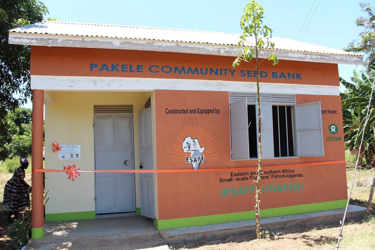 ESAFFUG's tweet photo. As part of this year’s Seed Celebration Week, we have launched another Community Seed Bank (CSB). Pakele Community Seed Bank in Adjumani district joins a network of CSB in the country, which support small-scale farmers in realizing and promoting their seed rights &amp; sovereignty. https://t.co/A1xjKtuwrN