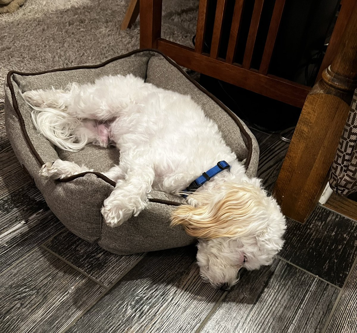 It was a full weekend. We needed this nap Sunday afternoon. Let’s go, Monday.