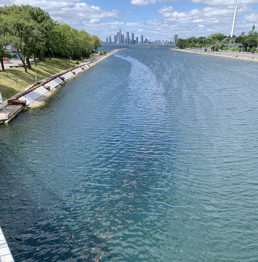 waterkeepermark's tweet photo. Ontario Municipal elections today. These leaders have special obligations to oversee the sewage treatment for over 7 million people in the Great Lakes fresh water ecosystem. Clean water means strong communities. Vote. #greatlakes #biinaagami ⁦@swimdrinkfish⁩ ⁦ https://t.co/os6ZirxhQw