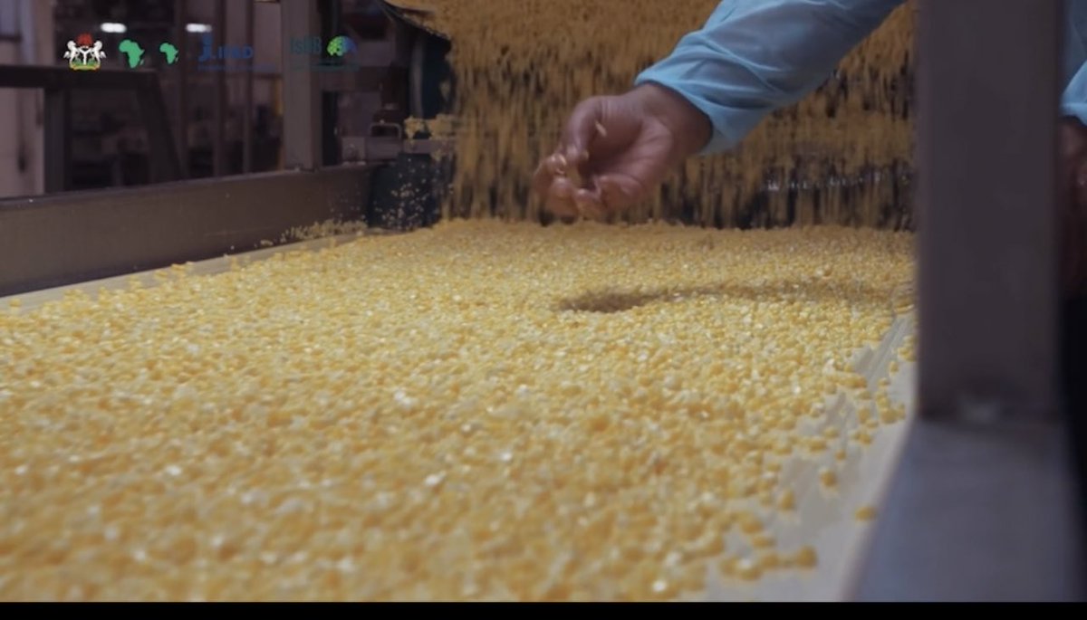 AfDB NIGERIA (RDNG) tweet media