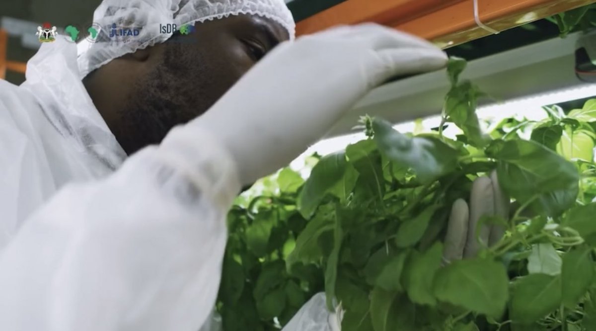 AfDB NIGERIA (RDNG) tweet media