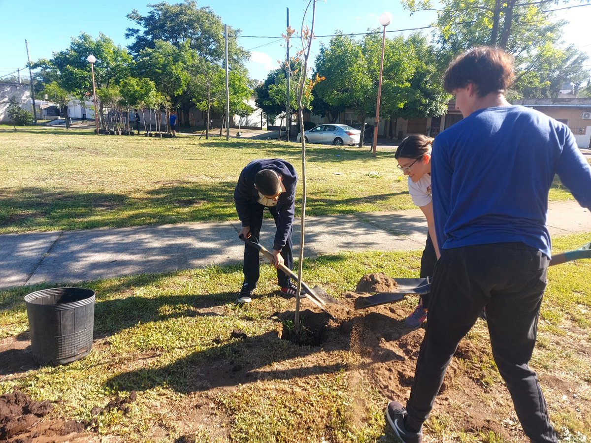 seguridadmbb's tweet photo. 🤩Además, se plantaron distintos ejemplares arbóreos en la Plaza Juan D. Perón, con la colaboración del grupo Scouts del B° Bella Vista

✅La actividad fué coordinada por la Dirección de Ord. Forestal Urbano, con la participación de la Comisión de Arbolado del Concejo Deliberante https://t.co/f7tHozslpf