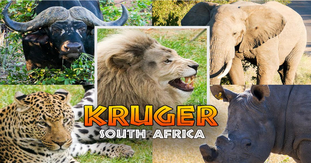 Following the multiracial democratic election in 1994, South Africa increased its tourism potential by hosting several major events, including the 1995 Rugby World Cup and the 2010 FIFA World Cup...

Read more: The South African Tourism
bit.ly/3N79pmz