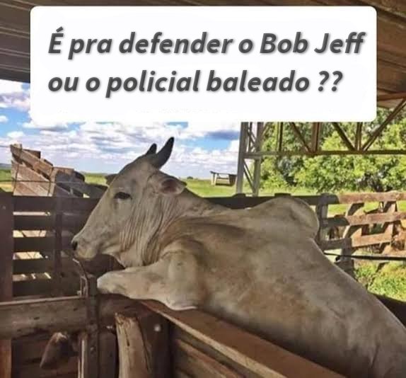 CidoParis's tweet photo. @CarlosBolsonaro Pois é, como nos regimes totalitaristas e comunistas, no #BOLSOGADISMO, #BobJeff caiu em desgraça, virou bandido e deve ser isolado. https://t.co/AQjsOSe4lf