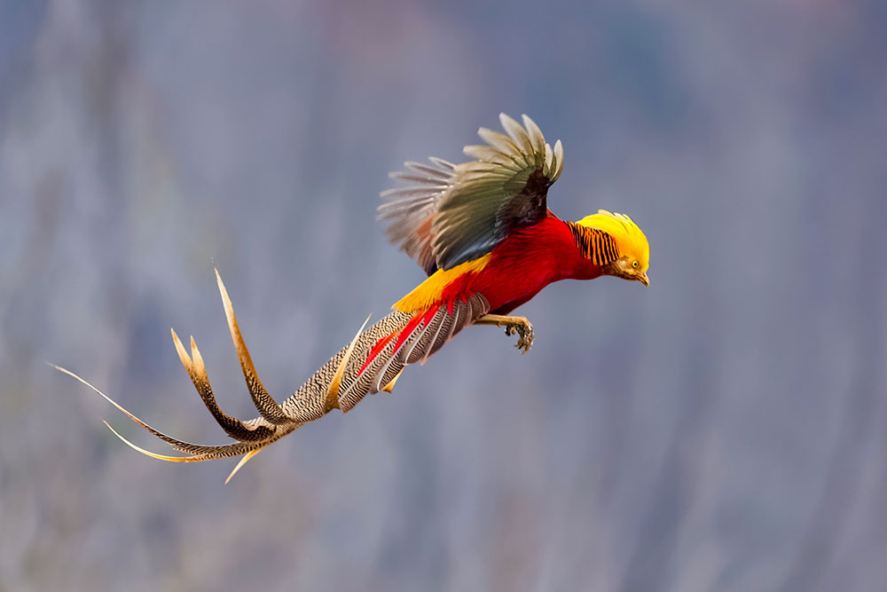 BirdsFact's tweet photo. Amazing 🐦 Beautiful ❤️ Cute 💕
Explore more Birds visit https://t.co/FuHRdWoBUk
#bird #birds #nature #birdsofinstagram #birdphotography #wildlife #naturephotography #photography #wildlifephotography #birdwatching #birdlovers #animals #birding https://t.co/pHVa6Ramua