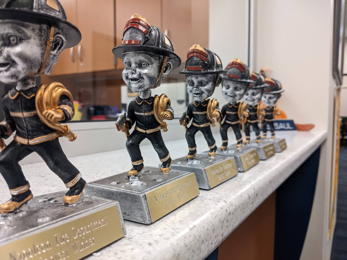 NapoleonFireRescue tweet media