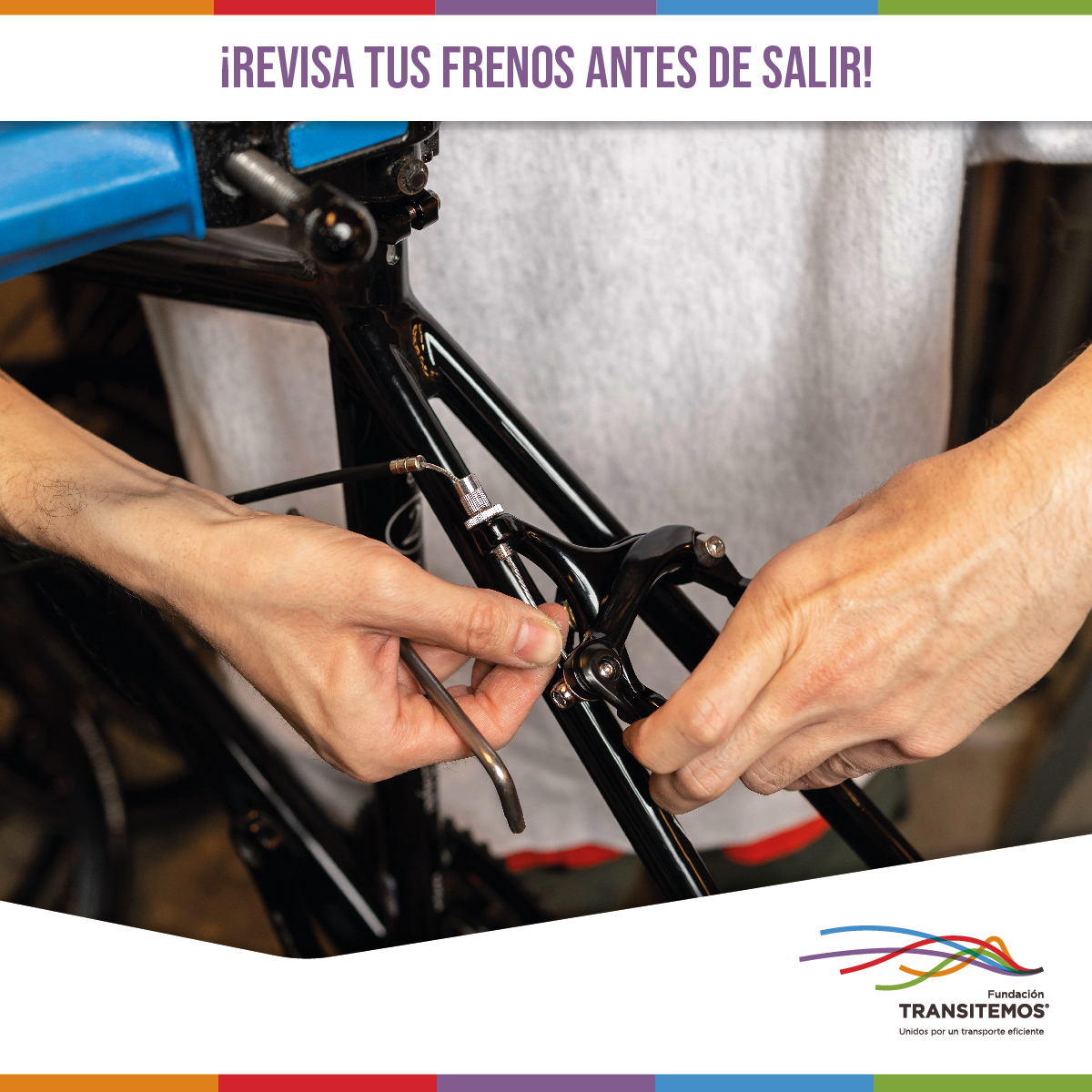 Amig@ ciclista, ¿sabes cómo asegurarte de que tus frenos funcionen correctamente? Revisa que el cable esté tenso y en buen estado, al igual que las zapatas. 
¡¡Pedalea Seguro!!

#FundacionTransitemos
#viajoseguro
#viajesaludable
