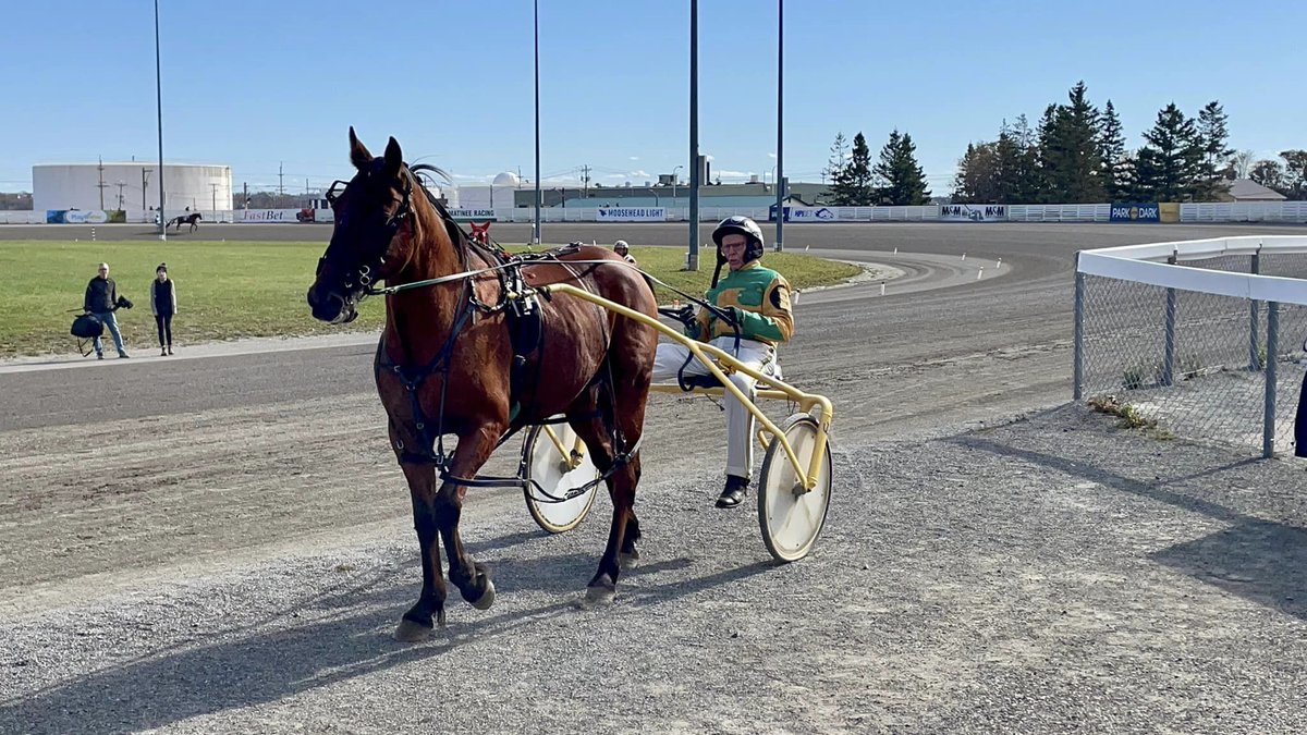 SAVING SAMMY: RETURN TO THE RACES
Starting today, <a href="/CTV_Liveat5/">CTV News at 5</a> is airing a new five-part series as a healed Sammy gives 78-year-old Denny one last thrill on the track. Here's a link to our first "Saving Sammy" series. atlantic.ctvnews.ca/saving-sammy @JaysonBaxterCTV