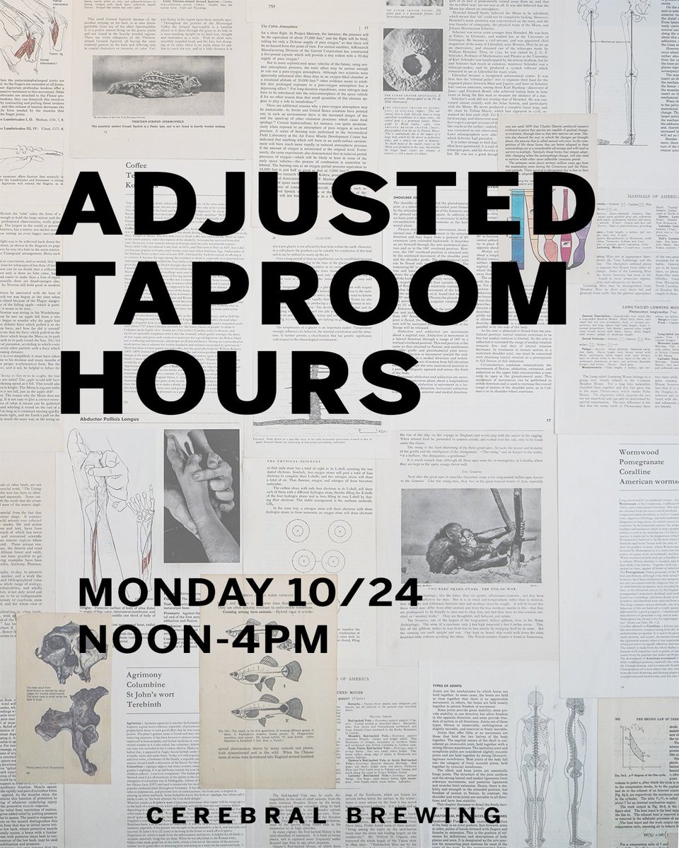 We are open from 12-4pm TODAY to accommodate our quarterly All Staff meeting later this evening. Come by for an early afternoon pint and take a 4-pack of Neon Lite or Gamma Knife home with you! 

Monday Hours: 12-4p