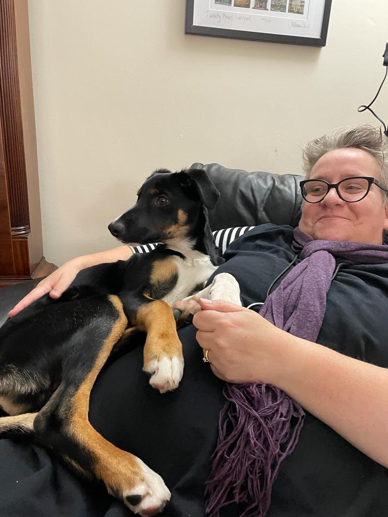 ellen loudon tweet media