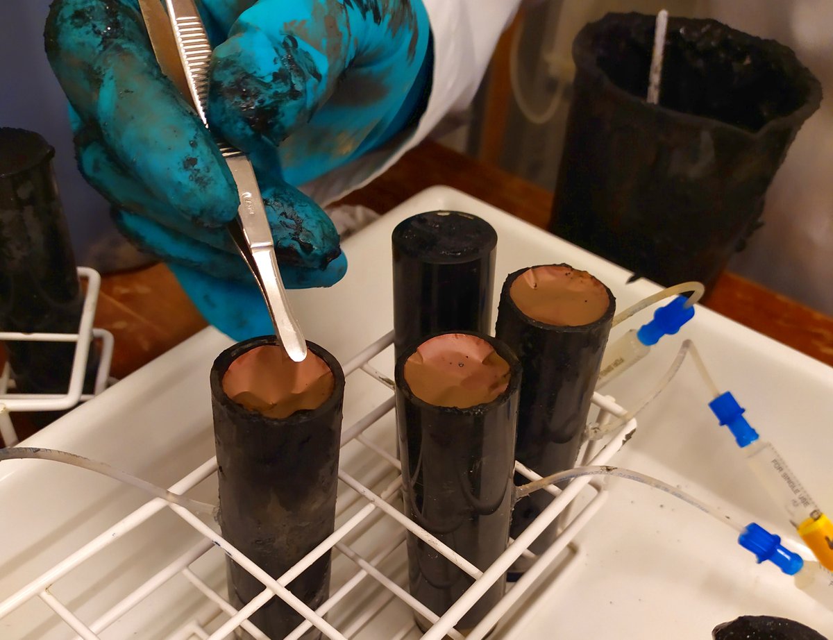 Matteo Tucci tweet media