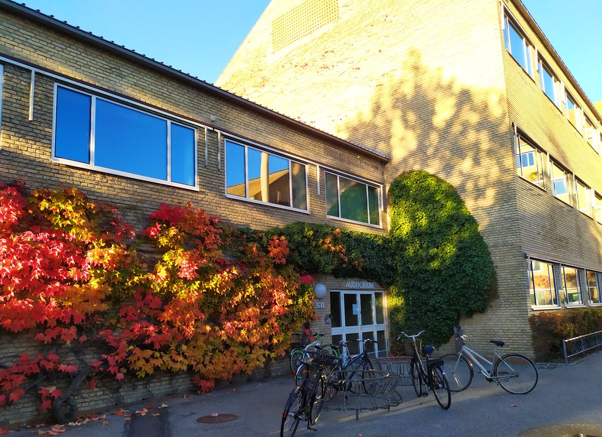 Matteo Tucci tweet media