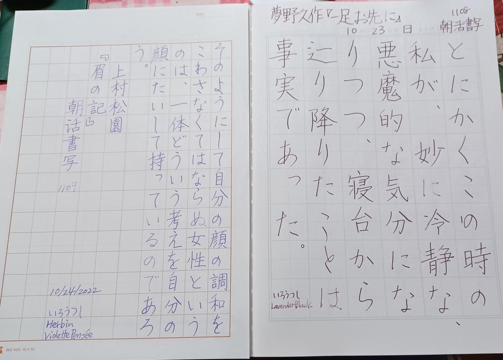 ShikiMucha's tweet photo. お題をありがとうございます!#朝活書写
昨日の分と二日分です。
今日は実家の庭掃除の労働の後、役所関係の手続き済ませて、午後4時近くにやっとありついたお寿司💦
#いろうつし
#lavenderblack
#herbin #violettepensée https://t.co/Uw4QD3imDo