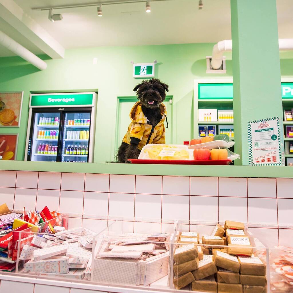 baconthedoggers's tweet photo. Hi, I’m Bacon. I can take your order
-
🍟: @woofoutwest
-
#dogsoftoronto #dogsofcanada #schnauzer #minischnauzer #schnauzersofinstagram #dogsofinstagram #weeklyfluff #dogsofig #torontostreetstyle #streetstyle #funnydogs https://t.co/wLrRlFn1rJ https://t.co/lWIAiozbTb