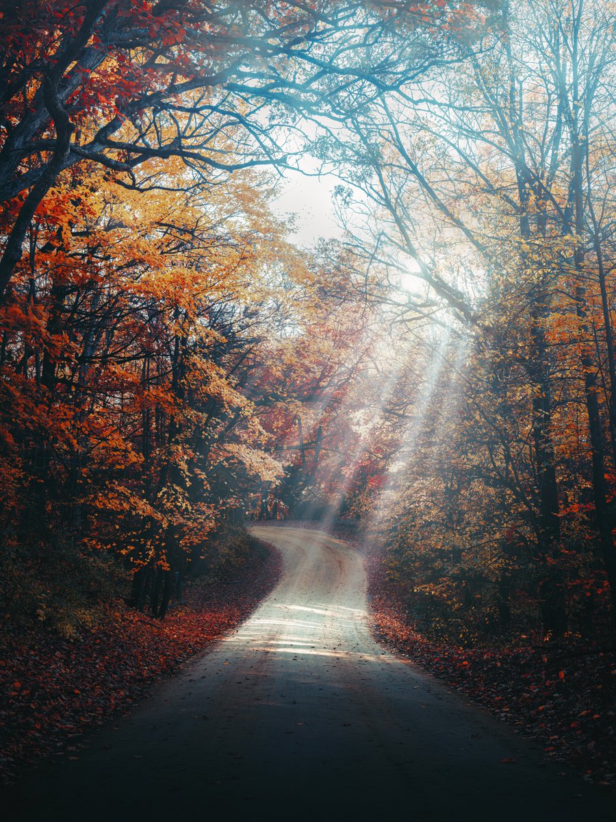 Just around the bend 🍂