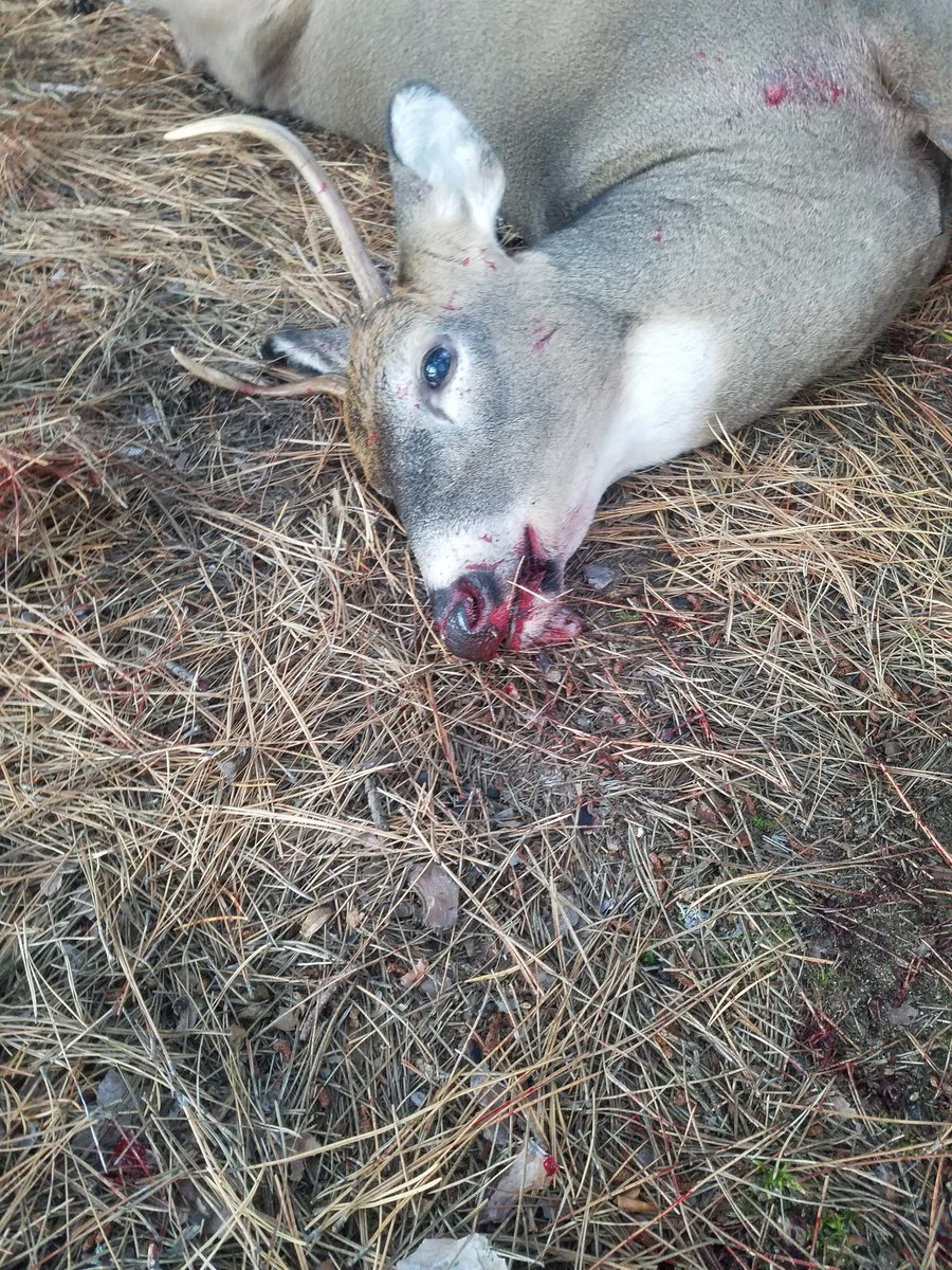 John Schiltz (@schiltzjohn94) on Twitter photo 