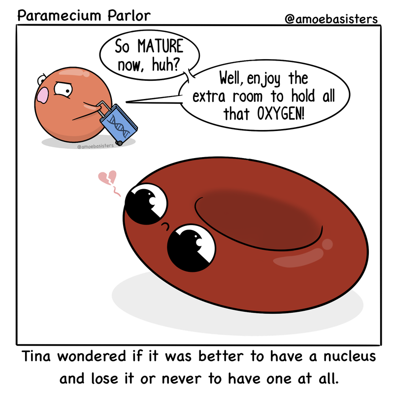 The nucleus even took the DNA with it!!😅😅

Image by Amoeba-Sisters

#cellbiology #biotechnology #biotech #lifesciences #labmemes #phdmeme #phdlife