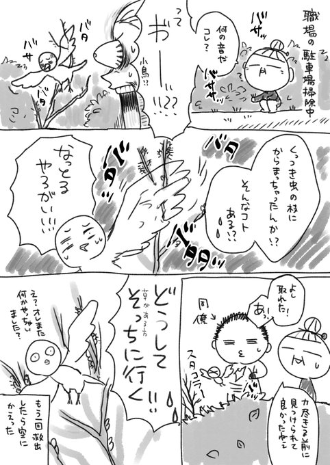 昔話だったら恩返しに来てくれると思う 