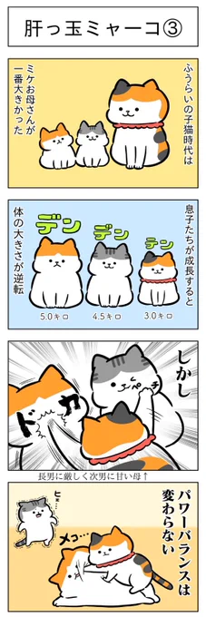 肝っ玉ミャーコ③④│フェリシモ猫部 https://t.co/JEDJF97mpf 