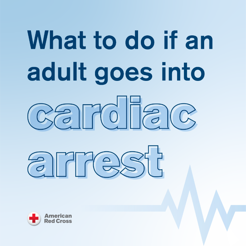 RedCross's tweet photo. 🤔 Would you know what to do if an adult went into cardiac arrest?

Give this a ❤️ to save these helpful steps for later and sign up to take a first aid/CPR course: https://t.co/jgbDlsZAIi #SCAMonth