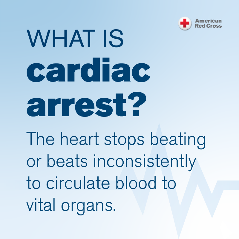 RedCross's tweet photo. 🤔 Would you know what to do if an adult went into cardiac arrest?

Give this a ❤️ to save these helpful steps for later and sign up to take a first aid/CPR course: https://t.co/jgbDlsZAIi #SCAMonth