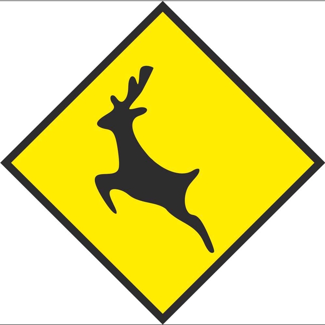 The Deer 'Rutting' season is currently underway, lasting until the end of November. It’s a time when there are increased risks involving deer crossing roads. Drivers are advised not to approach an injured deer. Report any collisions to An Garda Siochána.