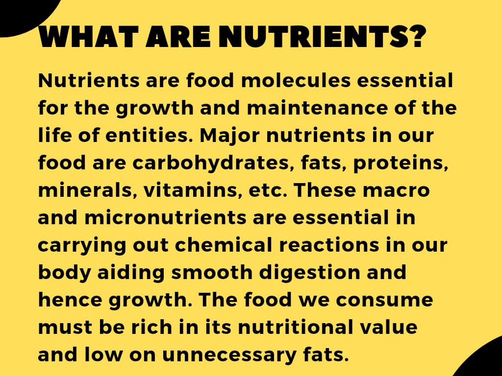 thelightutors's tweet photo. It’s time for our #MondayTidbits session, and the topic of the week is Food Groups! https://t.co/5mr2t4pteW