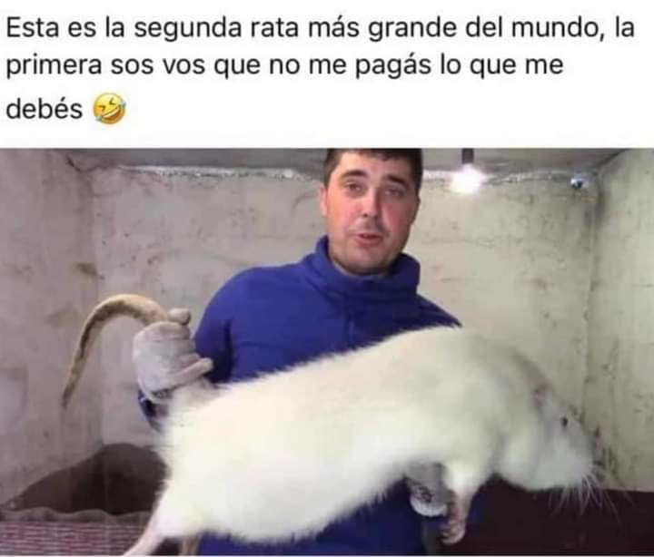 finecade tweet media