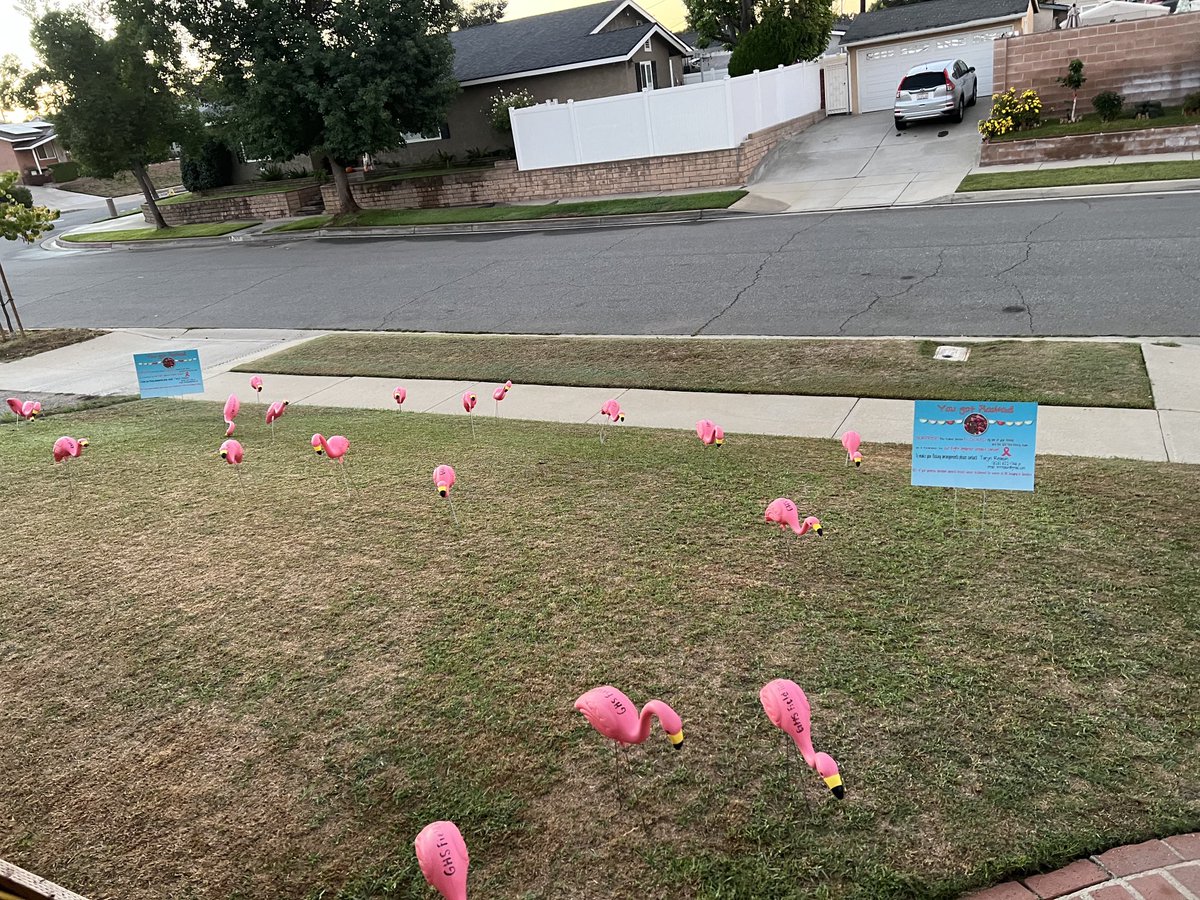 coachleighmo's tweet photo. My favorite season #breastcancerawareness ⁦@GHighAthletics⁩ https://t.co/3dPDZcTUvd