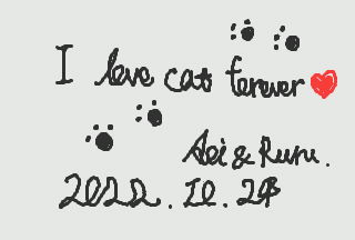 Soleil14080131's tweet photo. I love cat forever♪ #catlover #CatsOfTwitter #猫のいる幸せ #ゲームメモ
#3DSGameNotes #3DS https://t.co/gmJ7o5fUYb