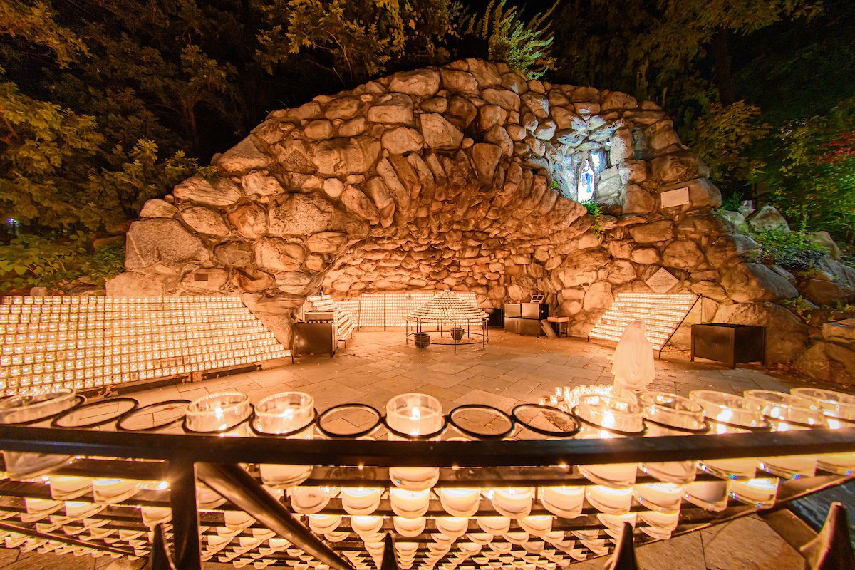 University of Notre Dame tweet media