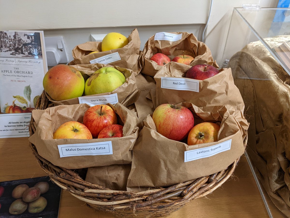 KatieSmithLIB's tweet photo. Did you know the Keswick Codlin was found growing as a seedling tree... and not originally from Keswick 👀

There's plenty more tasty apple facts up for grabs right now. Never has a @RHSLibraries display smelt so good 🍎

Ta to @RHSHarlowCarr kitchen garden team for the apples! https://t.co/YOVE2gifMr