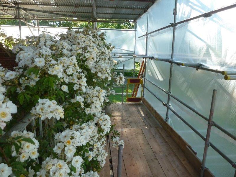 Temporary scaffolding in place in Hampshire ready for remedial deck waterproofing works.

After in-depth investigations, we are appointed to replace the failed deck waterproofing to the terrace above a habitable room.

We are to provide a fully guaranteed solution for our client.