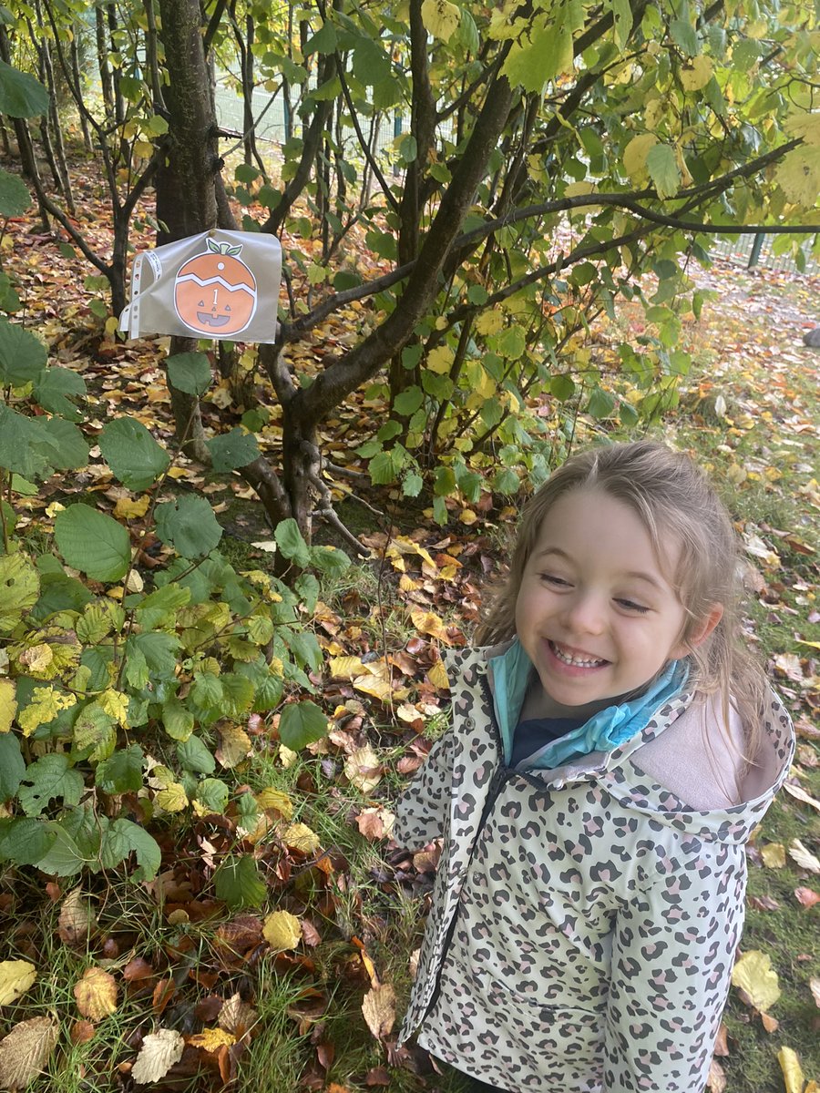 hzschoolnursery's tweet photo. Messy garden Mondays #pumpkinhunt #numberhunt #numberrecognition #counting #getoutdoors @hazleheadschool 🍂🎃🍂🎃🍂🎃🍂🎃🍂🎃🍂🙈 https://t.co/iHhH1Wh0TF