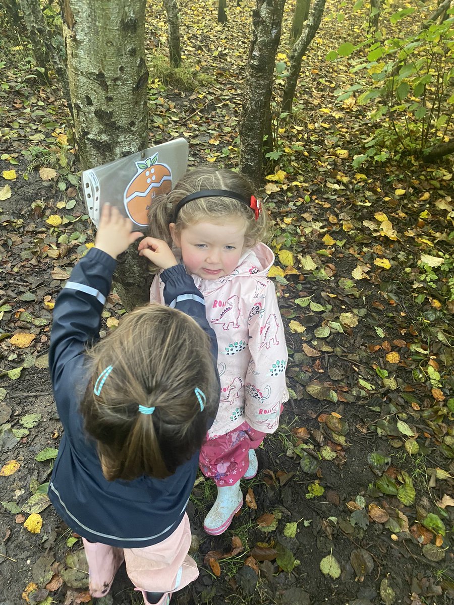 hzschoolnursery's tweet photo. Messy garden Mondays #pumpkinhunt #numberhunt #numberrecognition #counting #getoutdoors @hazleheadschool 🍂🎃🍂🎃🍂🎃🍂🎃🍂🎃🍂🙈 https://t.co/iHhH1Wh0TF