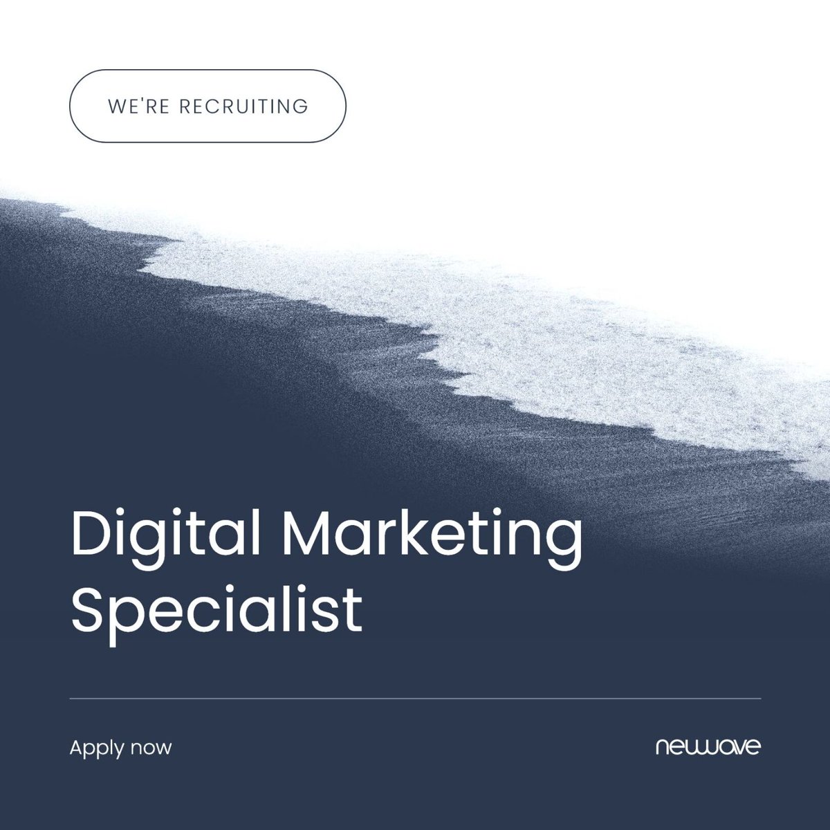 StudioNewwave's tweet photo. 📢 We’re Hiring! 📢

We’re looking for a digital marketer / account manager with:

👉 Excellent written communication skills
👉 An instinct for business 
👉 A keen eye for detail

Think you could be our new addition? Click here to apply on Indeed: https://t.co/1Qb0zKvYQF https://t.co/eHGVqQbiWG