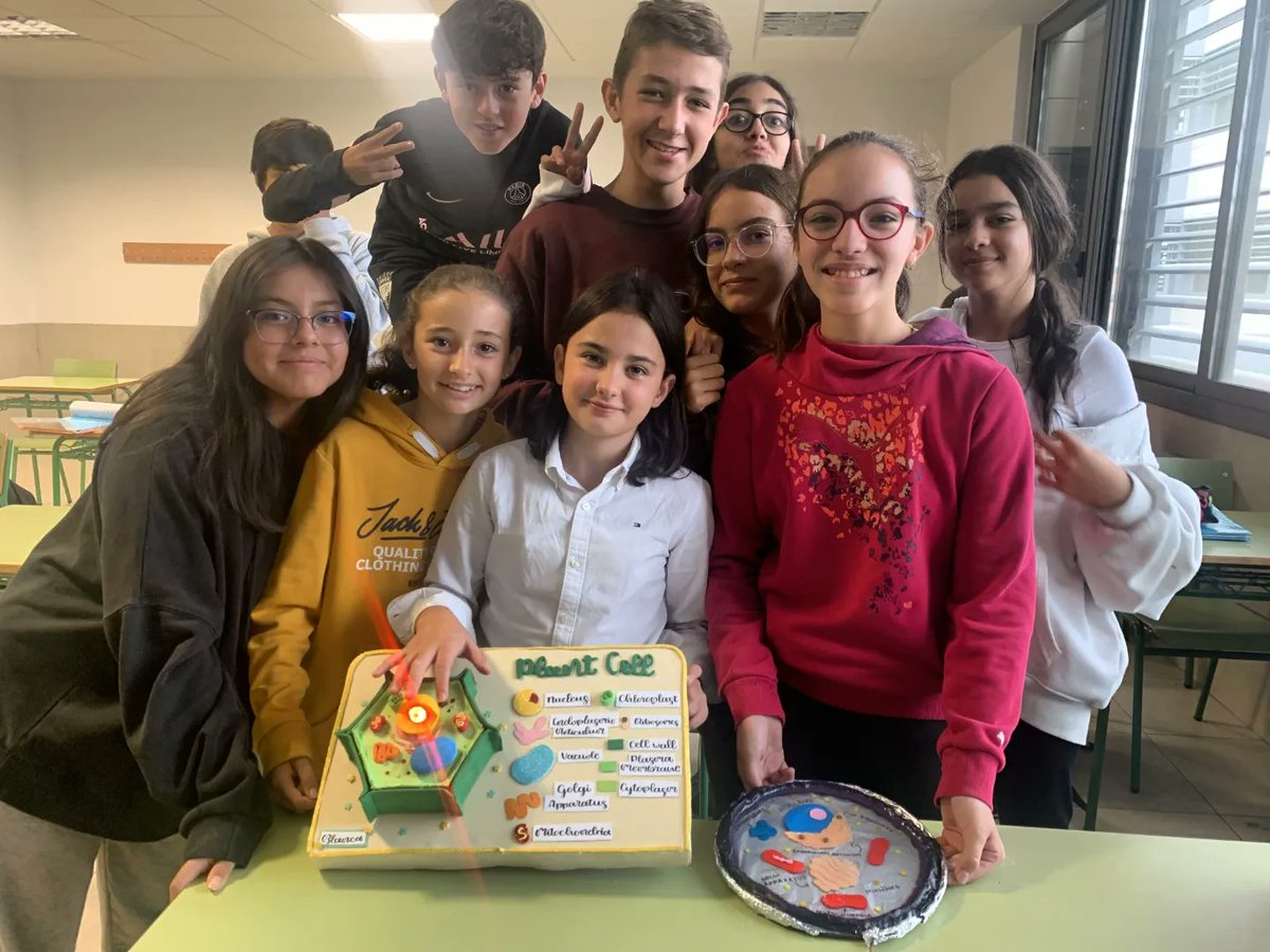torrelosespejos's tweet image. El alumnado de 1ºESO BILINGÜE ha creado estas maravillosas maquetas de células en la materia de Biology and Geology 👏🦠
#iestorredelosespejos #programabilingue #britishcouncilprojects