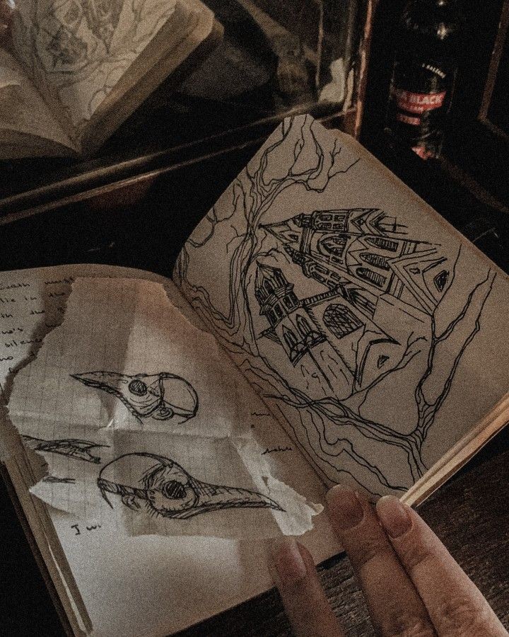 𝙳𝚊𝚛𝚔 𝚊𝚌𝚊𝚍𝚎𝚖𝚒𝚊 𝚍𝚛𝚎𝚊𝚖𝚜 (@academiadreams) on Twitter photo 