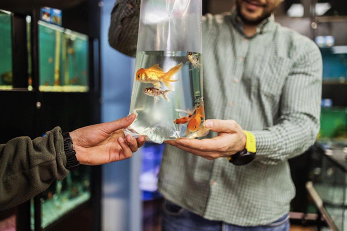 ValpakSEWI's tweet photo. Last year, Valpak mailed more than 2.3 billion retail ads. That’s a lot of fish in the money sea! Catch more profits with Valpak: https://t.co/4JhSv5LjIj 🐟🐠💸 https://t.co/8X6i3BAkcS