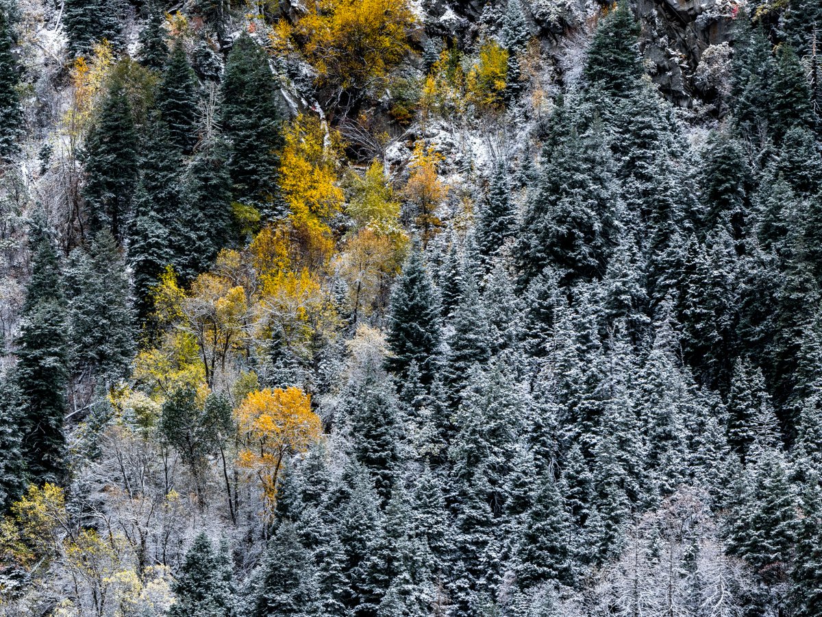 StioMountain's tweet photo. We heard some mountain towns got the first taste of winter 🤤 

Stio ambassador Rocko Menzyk captures the fresh blanket of snow over the Wasatch mountain range.
#lettheoutsidein https://t.co/wiZDy2j3oB