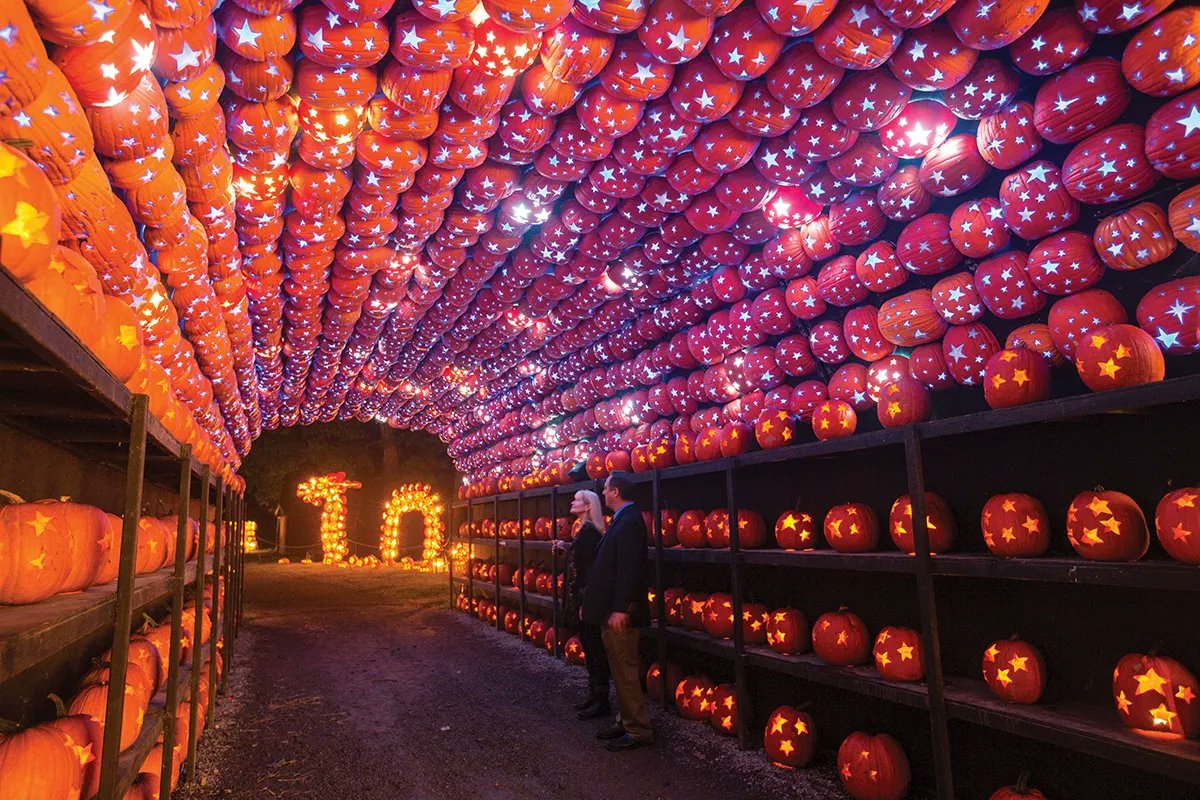 issywiggy's tweet photo. Pumpkin Carving - Do you need some inspiration? Any ideas what the difference is of live pumpkin? or skinning a pumpkin?
Have a watch of this fab video of The Great Jack O'Lantern Blaze in New York State 
https://t.co/8HkDLujdqg https://t.co/4CyzdA1VE2