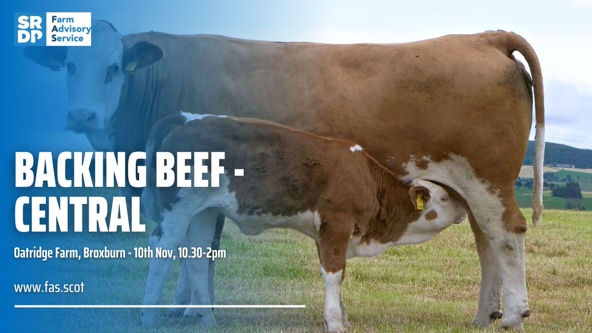 Are you a beef farmer? Would you like information on the options beef farmers have going into this winter? Come along to our Backing Beef - Central event on 10th Nov, 10.30-2pm and hear from a range of specialist speakers. Click bit.ly/3gqFbyO to book.