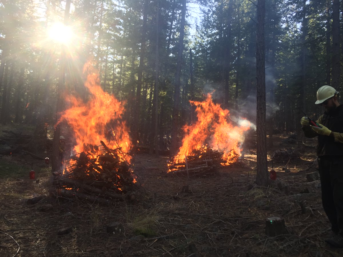 Okanogan-Wenatchee Natl Forest is getting ready to start prescribed fire projects when weather, fuel conditions, & air quality become favorable. Burning may begin as soon as this week, if areas of planned burns receive enough rain, and continue through the winter. https://t.co/Mq3foVwhy1