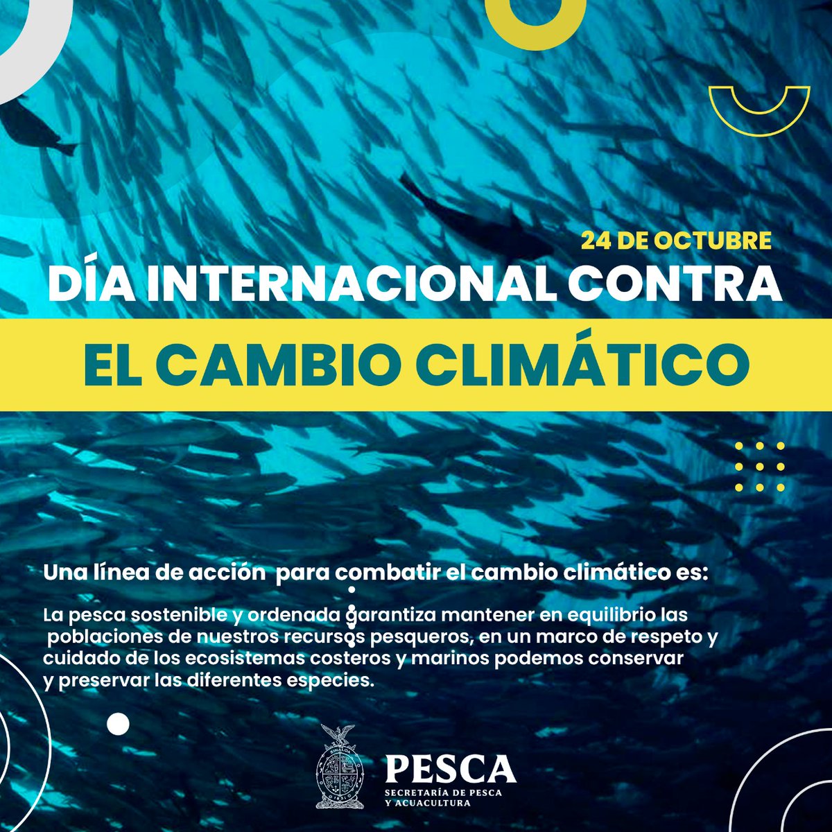 spyasinaloa's tweet photo. Hoy 24 de octubre conmemoramos el #DíaInternacionalContraElCambioClimático.
Una línea de acción para combatir el cambio climático es la pesca sostenible que garantiza mantener en equilibrio las poblaciones de nuestros recursos pesqueros.
#Pesca #SPyA
@FlorEmyGuerra https://t.co/WKJS9Y0JXJ