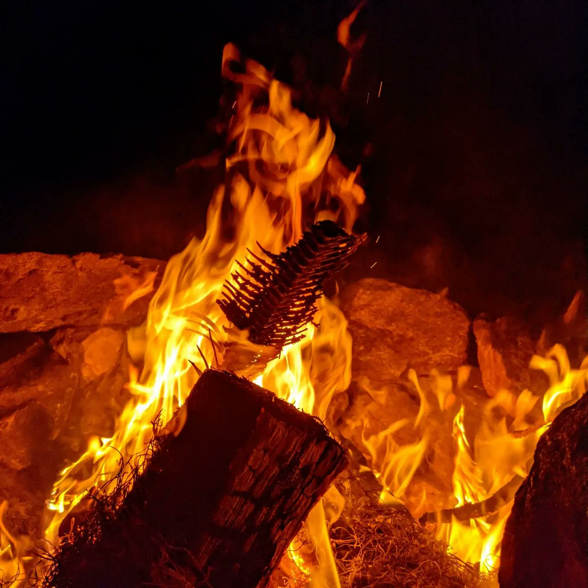 Maybe I'm more of a pyro🔥 than I realized?... 😱

#halloween #fire #jackolantern #horror
