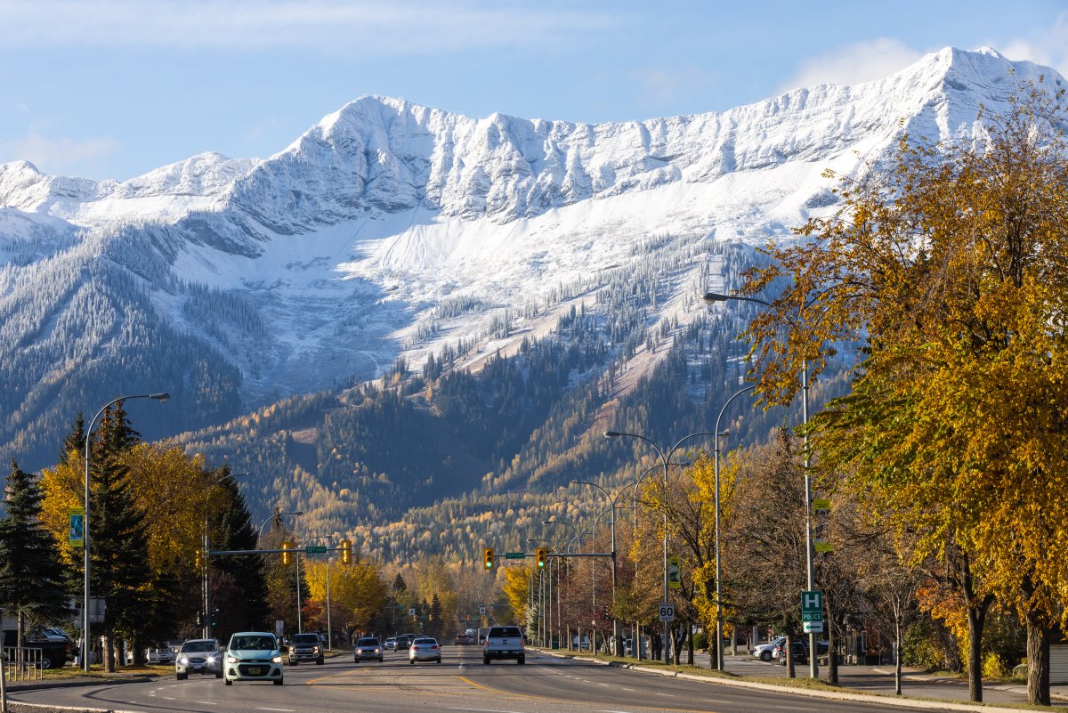 Only needs a light dusting of snow to bring out the vibrant fall tones. 

📷 Highway 3 in Fernie, BC | Oct 23rd 2022
