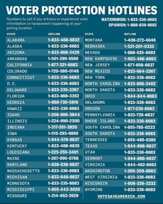 DavidsDonna's tweet photo. @B52Malmet Stop saying call the police! If the police aren’t aware they don’t care! Call the voter hotline and report it https://t.co/DEo9sMenxu