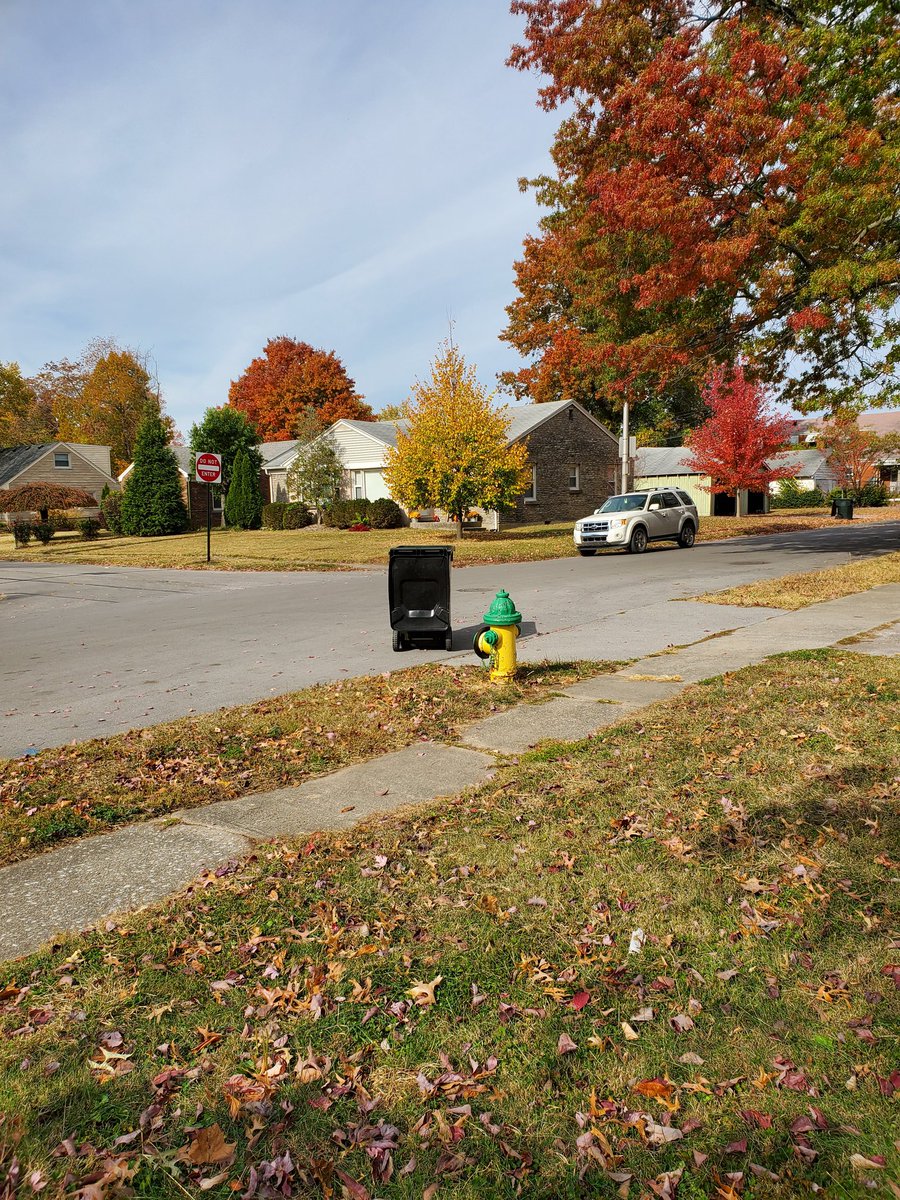 AnneGWoodhead1's tweet photo. @Kentuckyweather
@LoganCoxWeather
Color in the Neighborhood
#OctoberDay
Lexington https://t.co/gTOvKCssEK