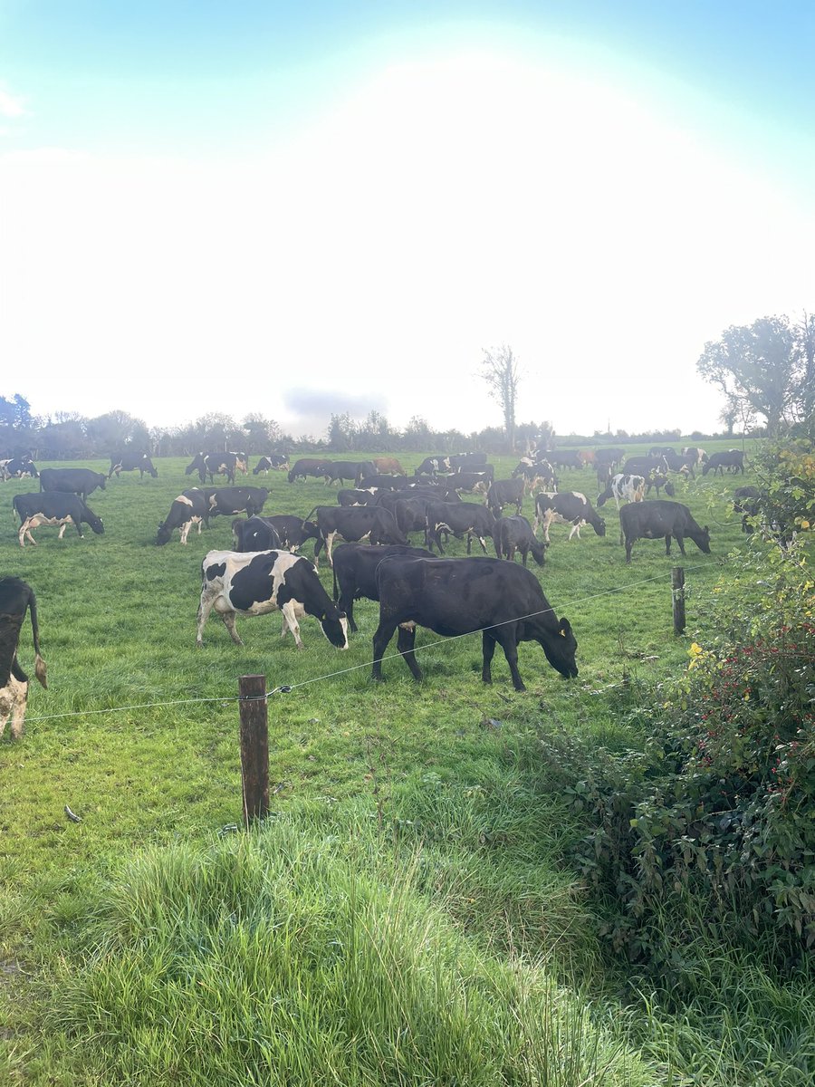 Hopefully another month of this, housed at night since last Thursday.